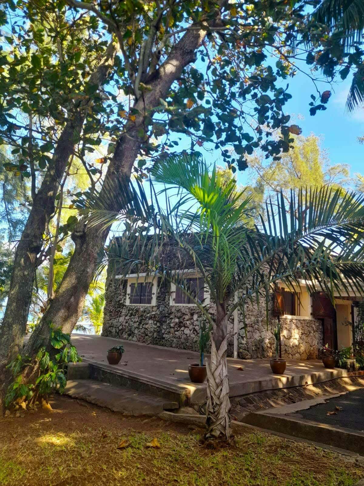 Mauritian Tea Route Tour with Bois Chéri factory and Plantation