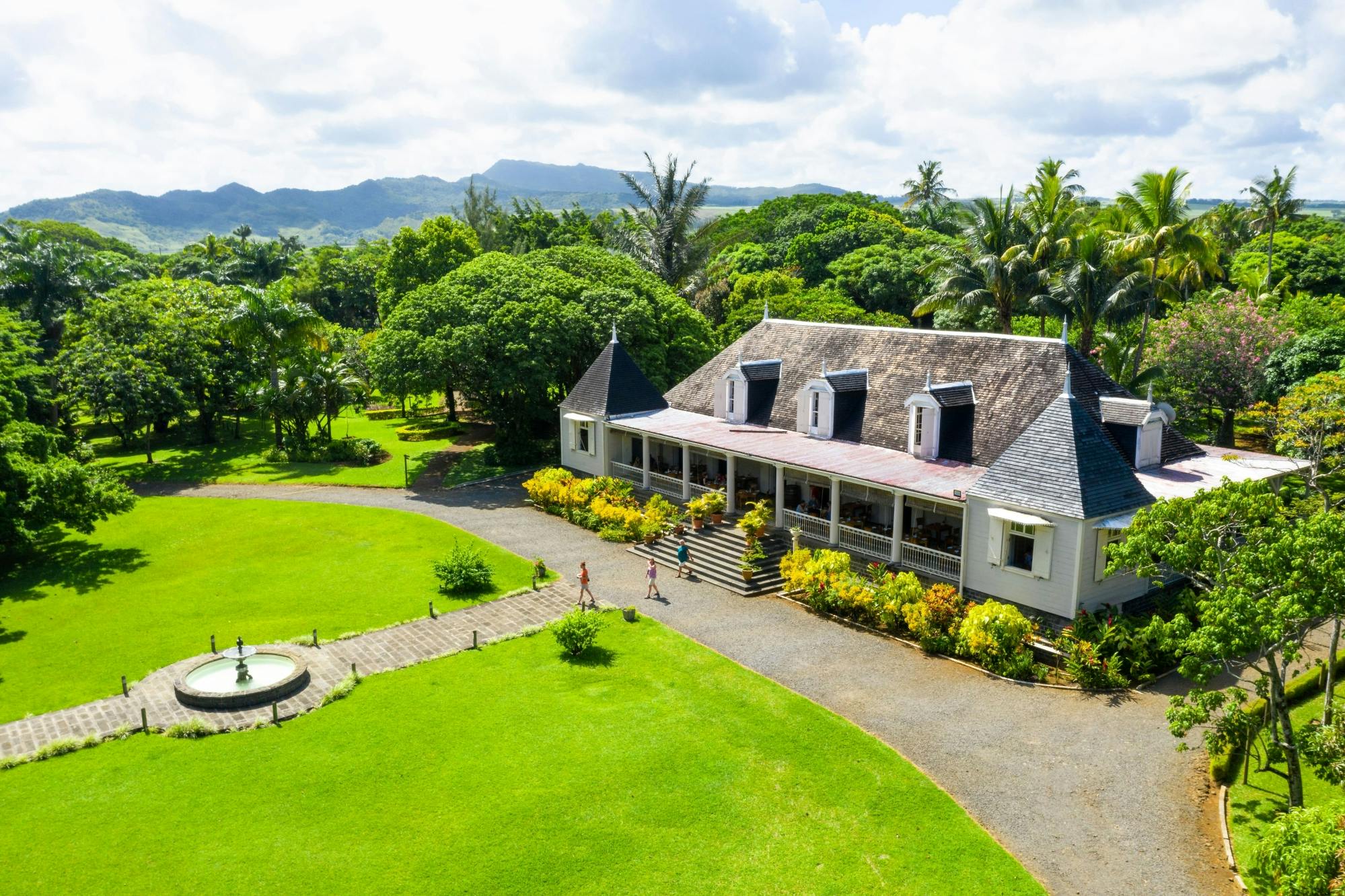 Mauritian Tea Route Tour with Bois Chéri factory and Plantation