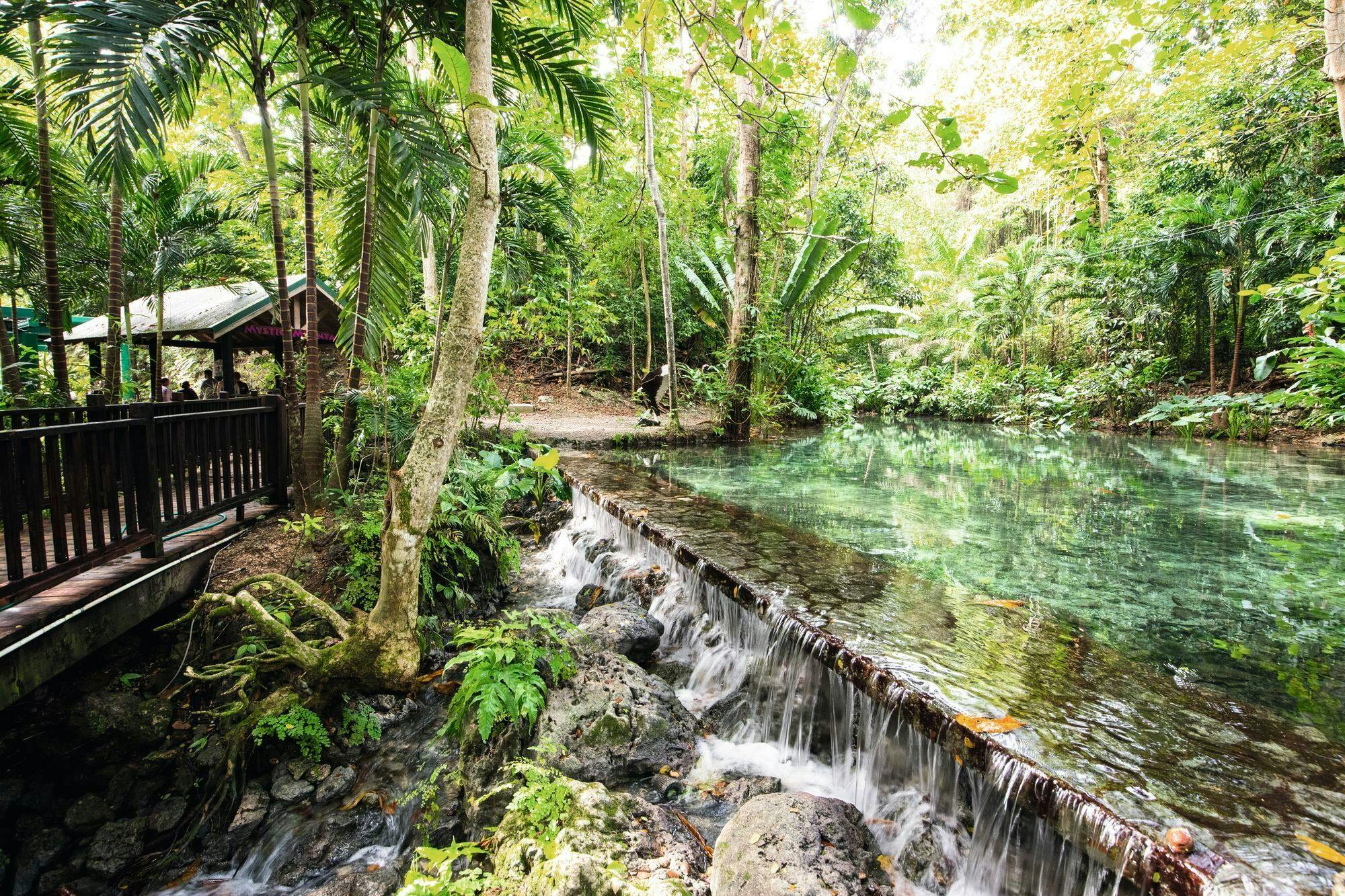 Mystic Mountain Platinum and Diamond packages