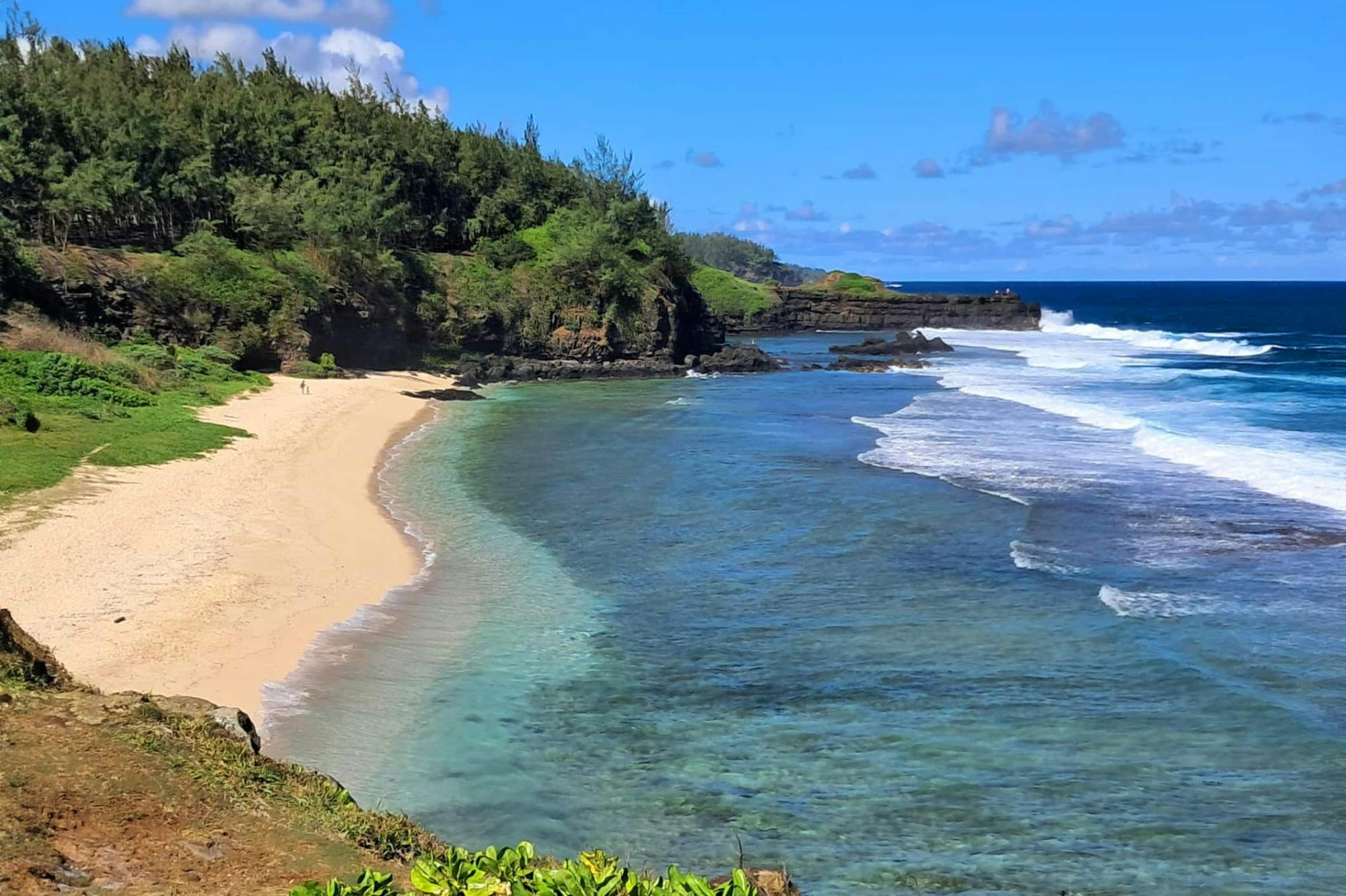 Mauritian Tea Route Tour with Bois Chéri factory and Plantation