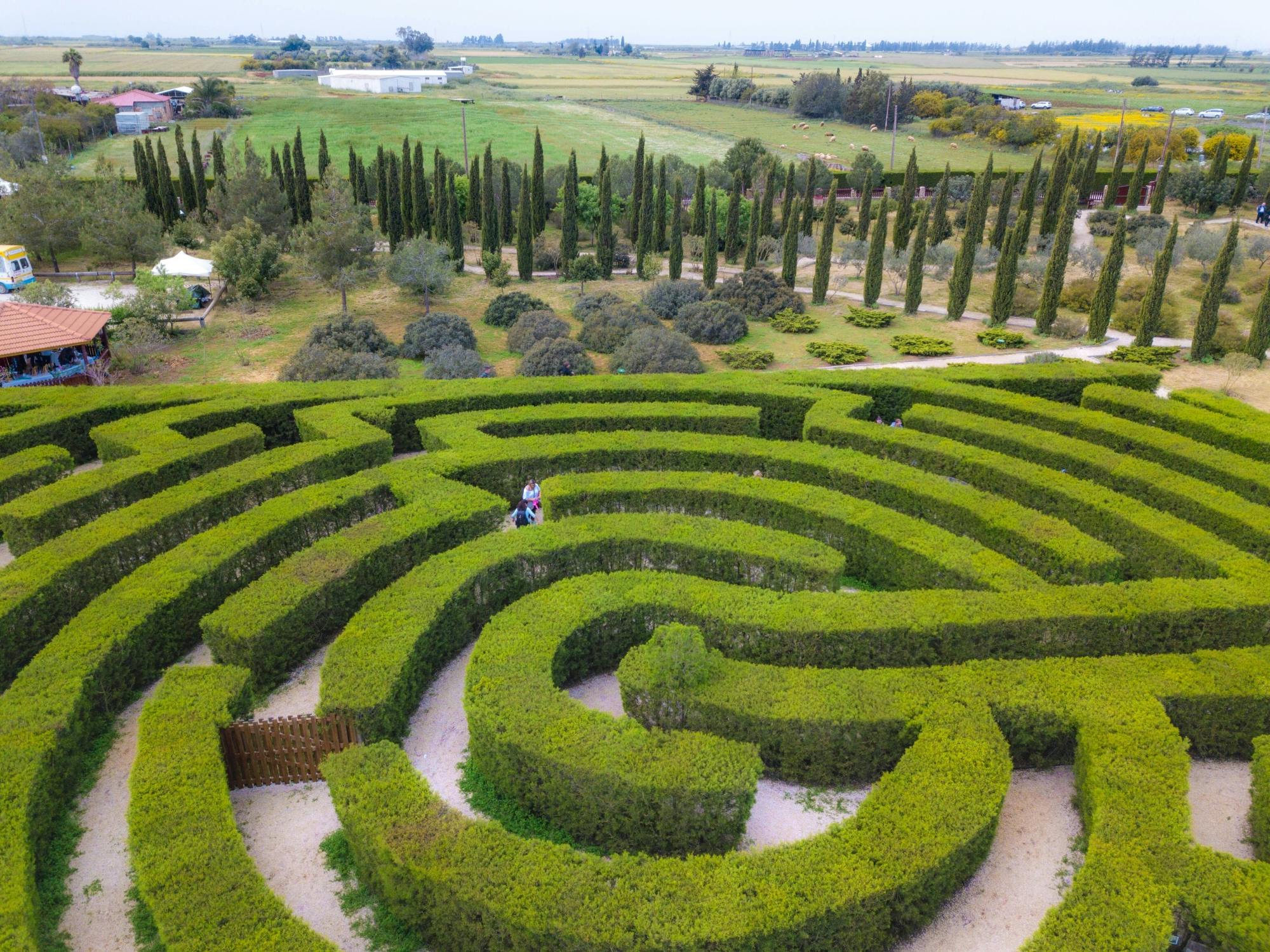 Botanical park visit for families with soap-making class