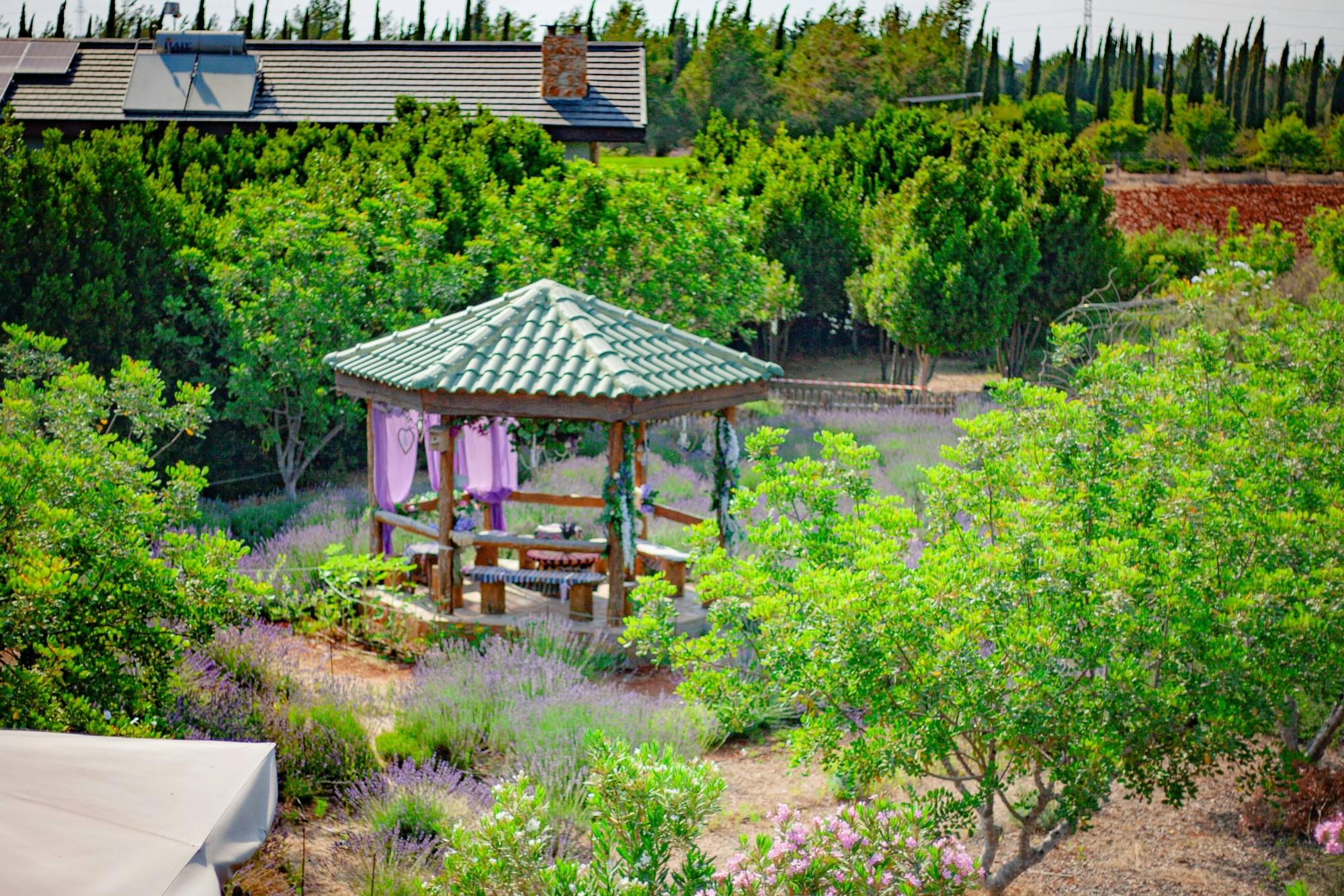 Botanical park visit for families with soap-making class