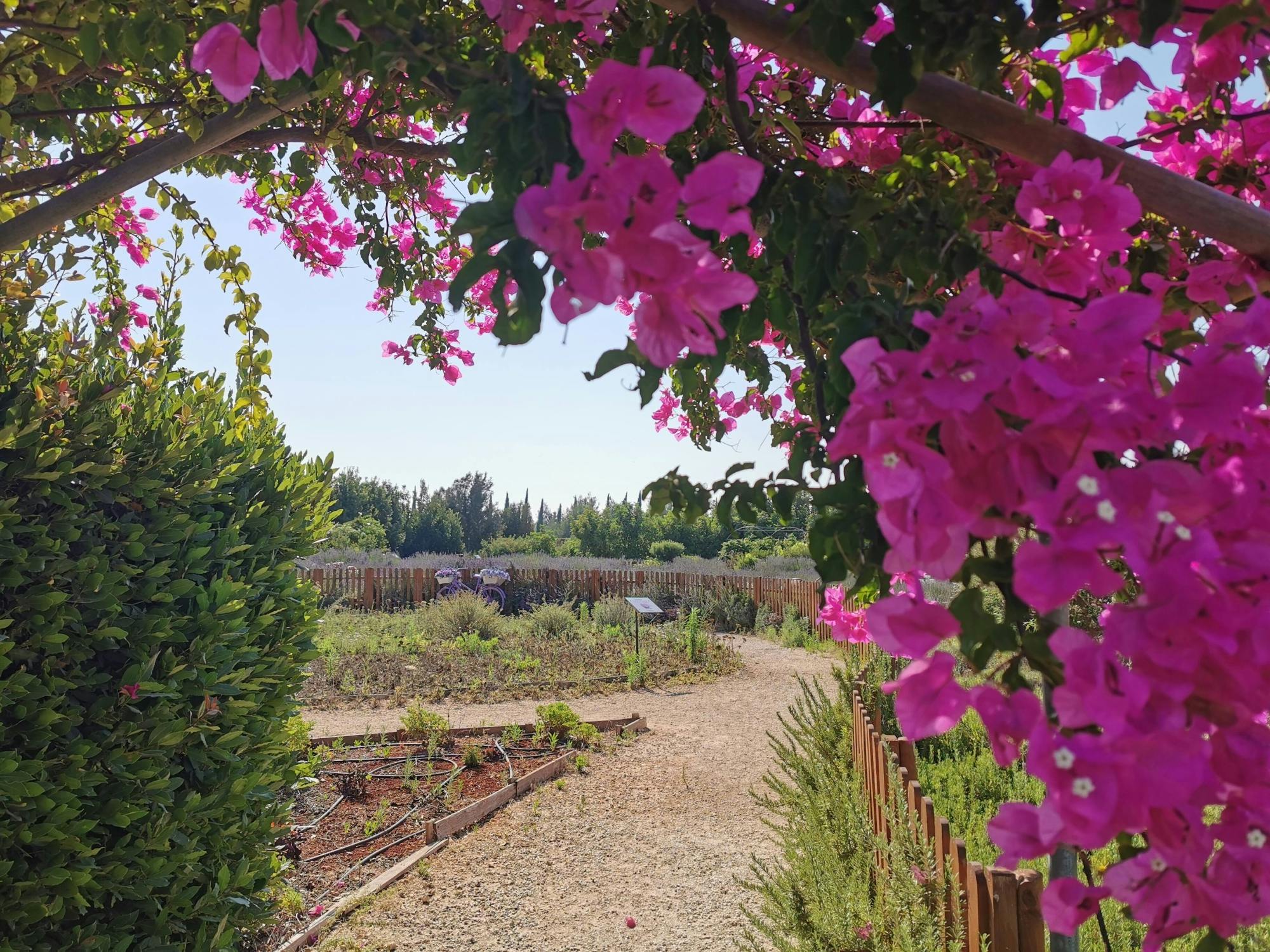 Botanical park visit for families with soap-making class