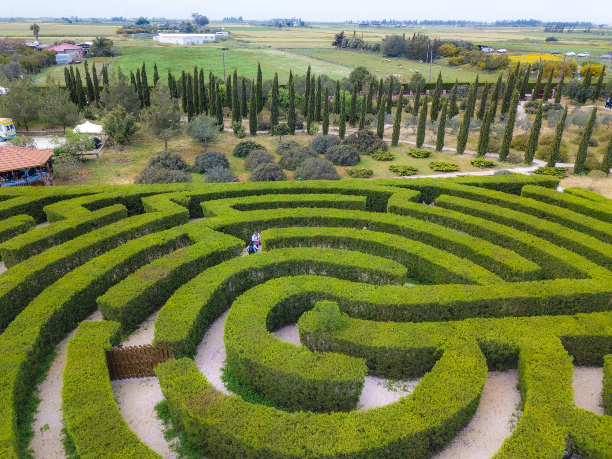 Botanical park visit for families with soap-making class