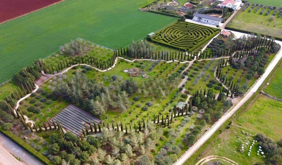 Botanical park visit for families with soap-making class