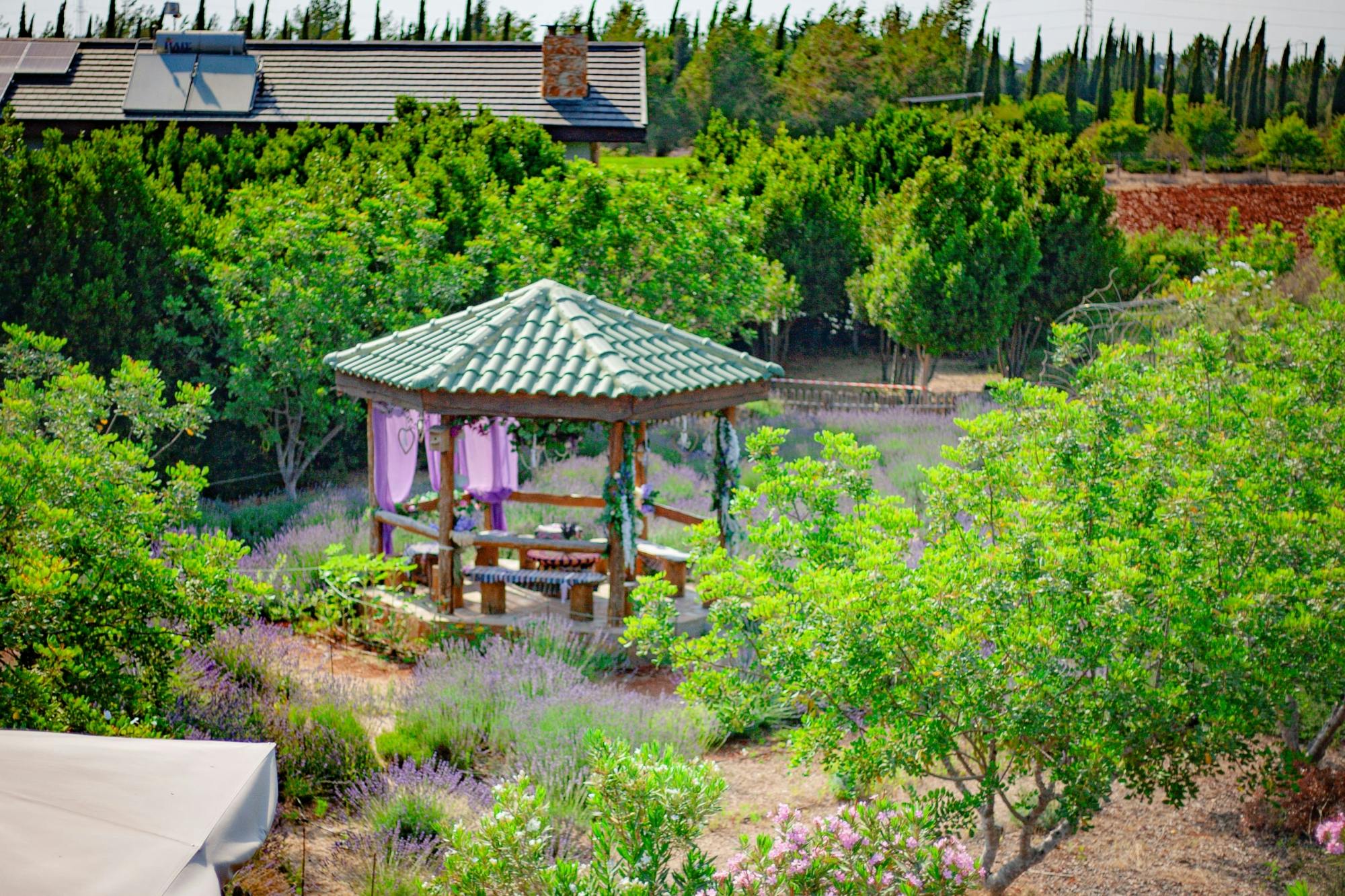 Botanical park visit for families with soap-making class