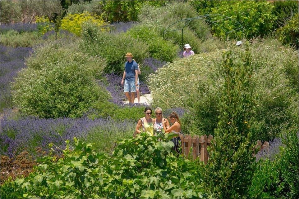 Botanical park visit for families with soap-making class