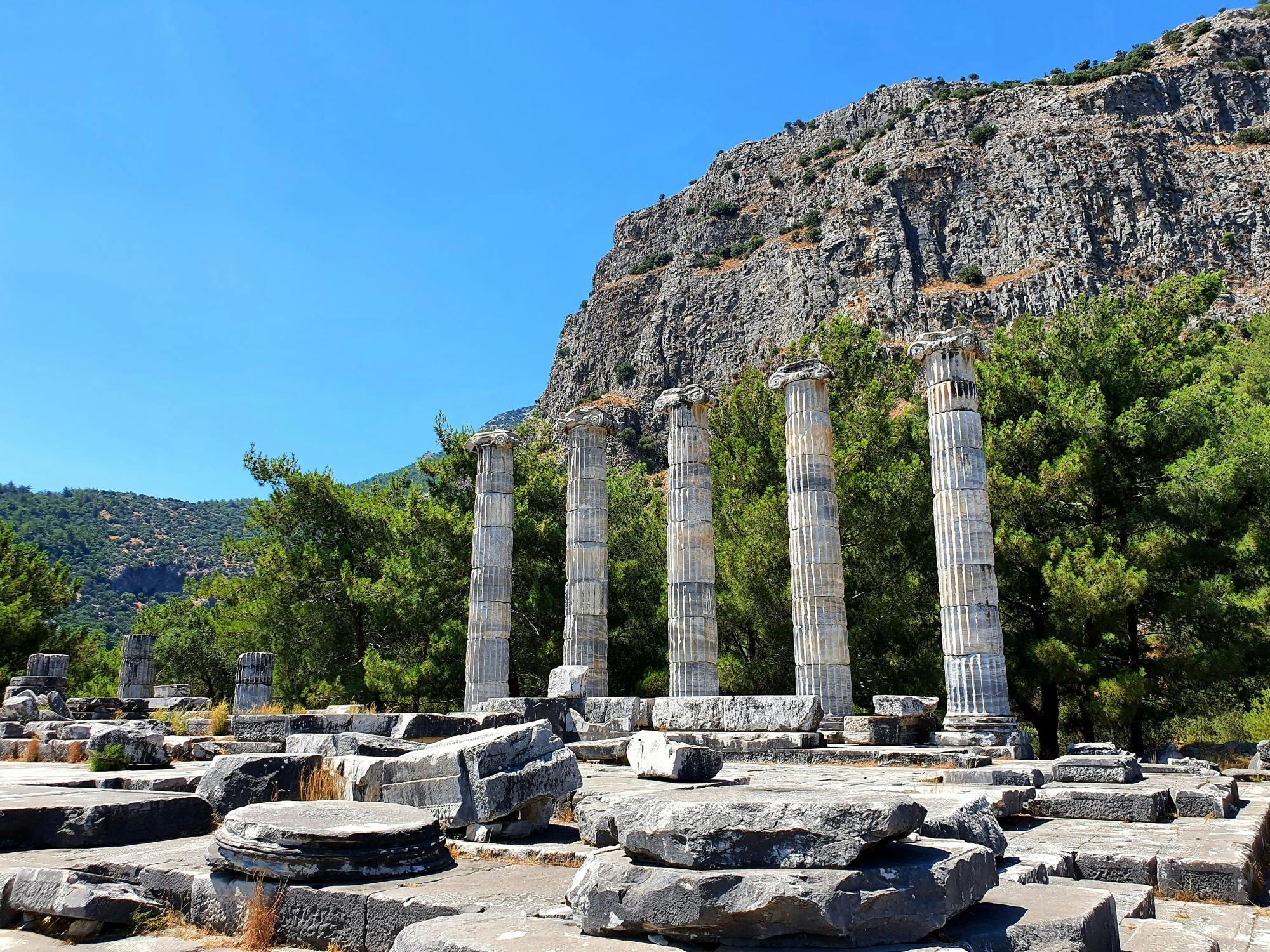 Visite d'une demi-journée à Miletos et visite du temple d'Apollon