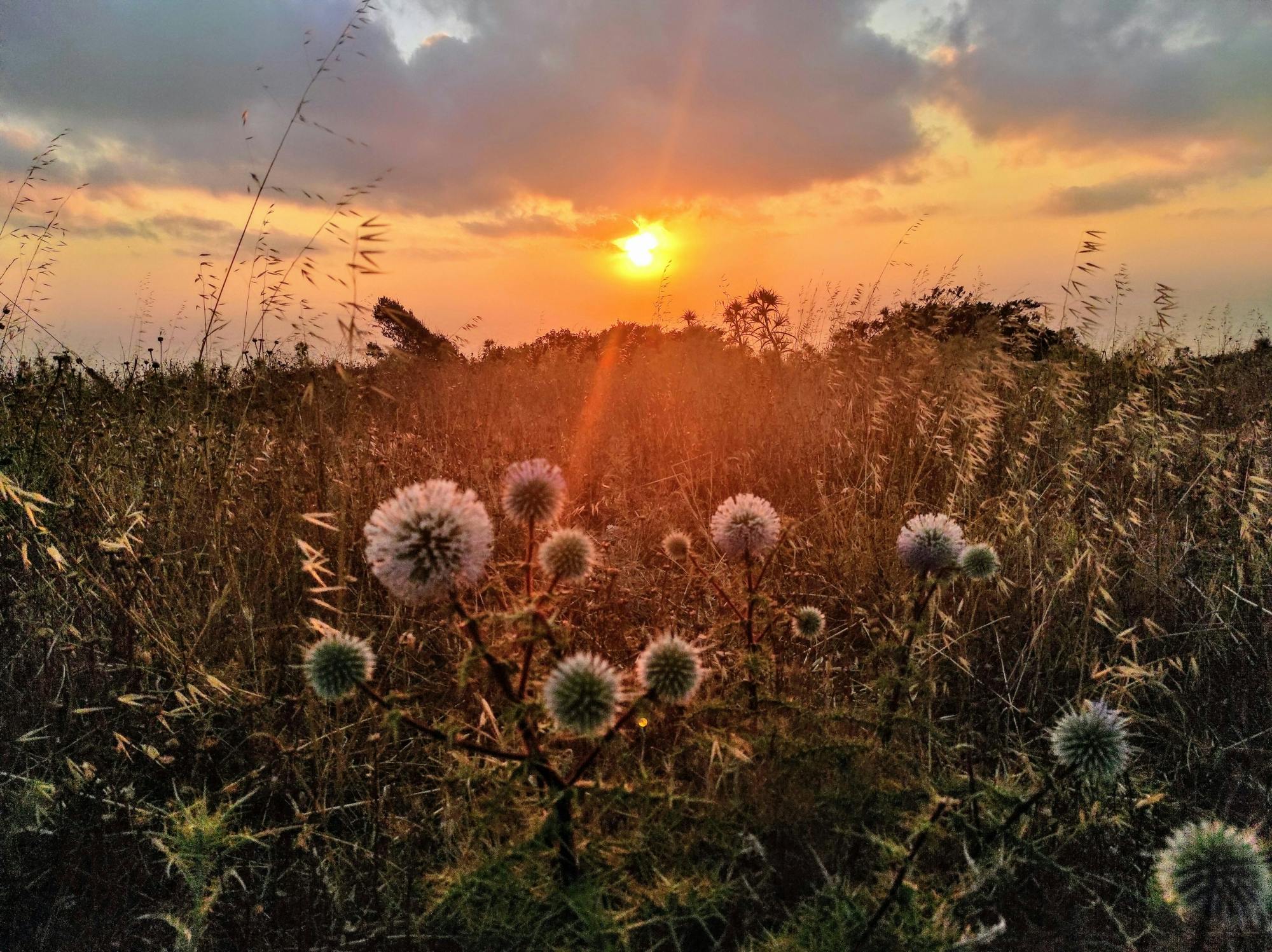 Tour of Karpathos’ traditional villages with a sunset dinner