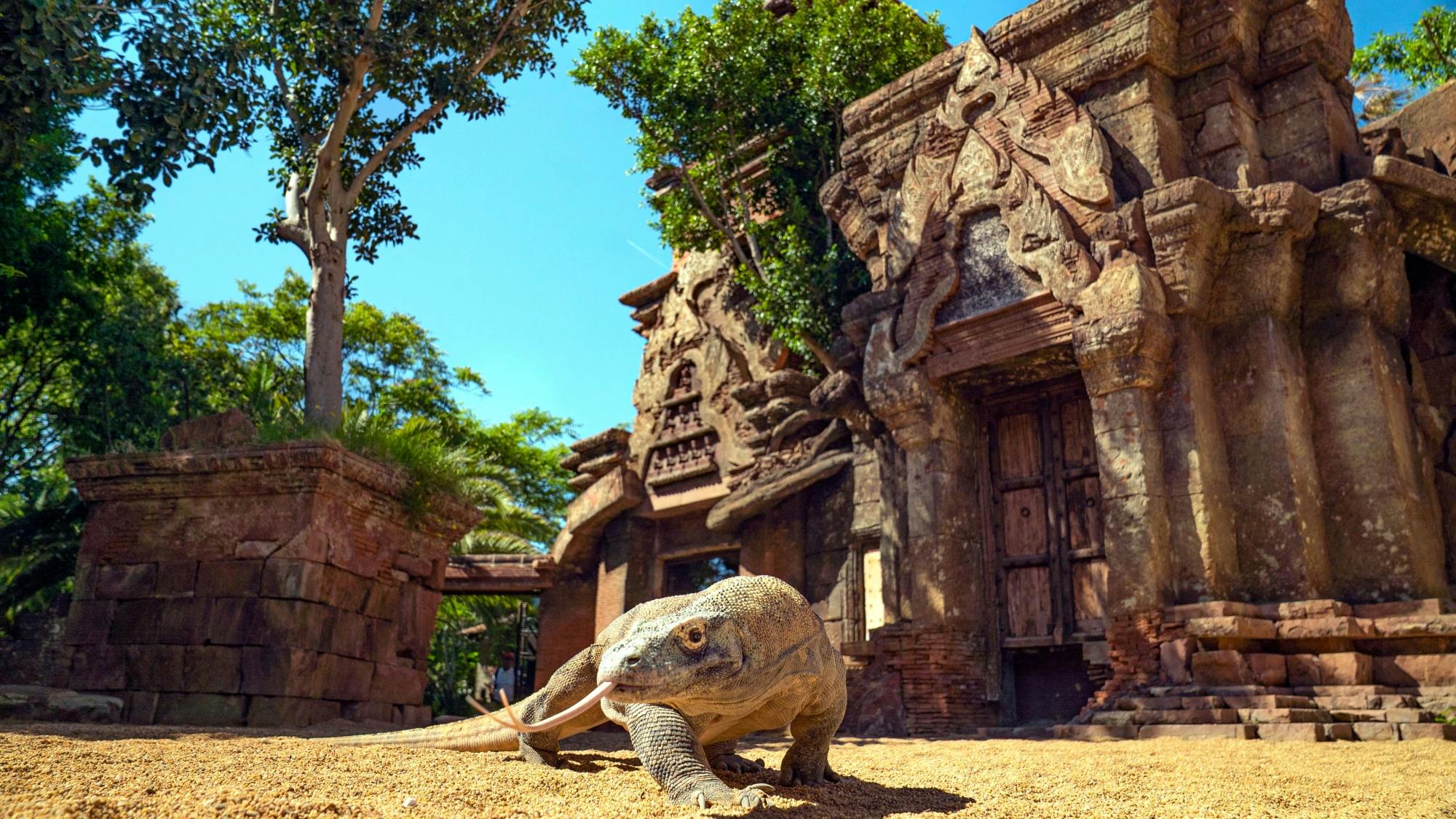 Fuengirola Zoo and shopping morning tour