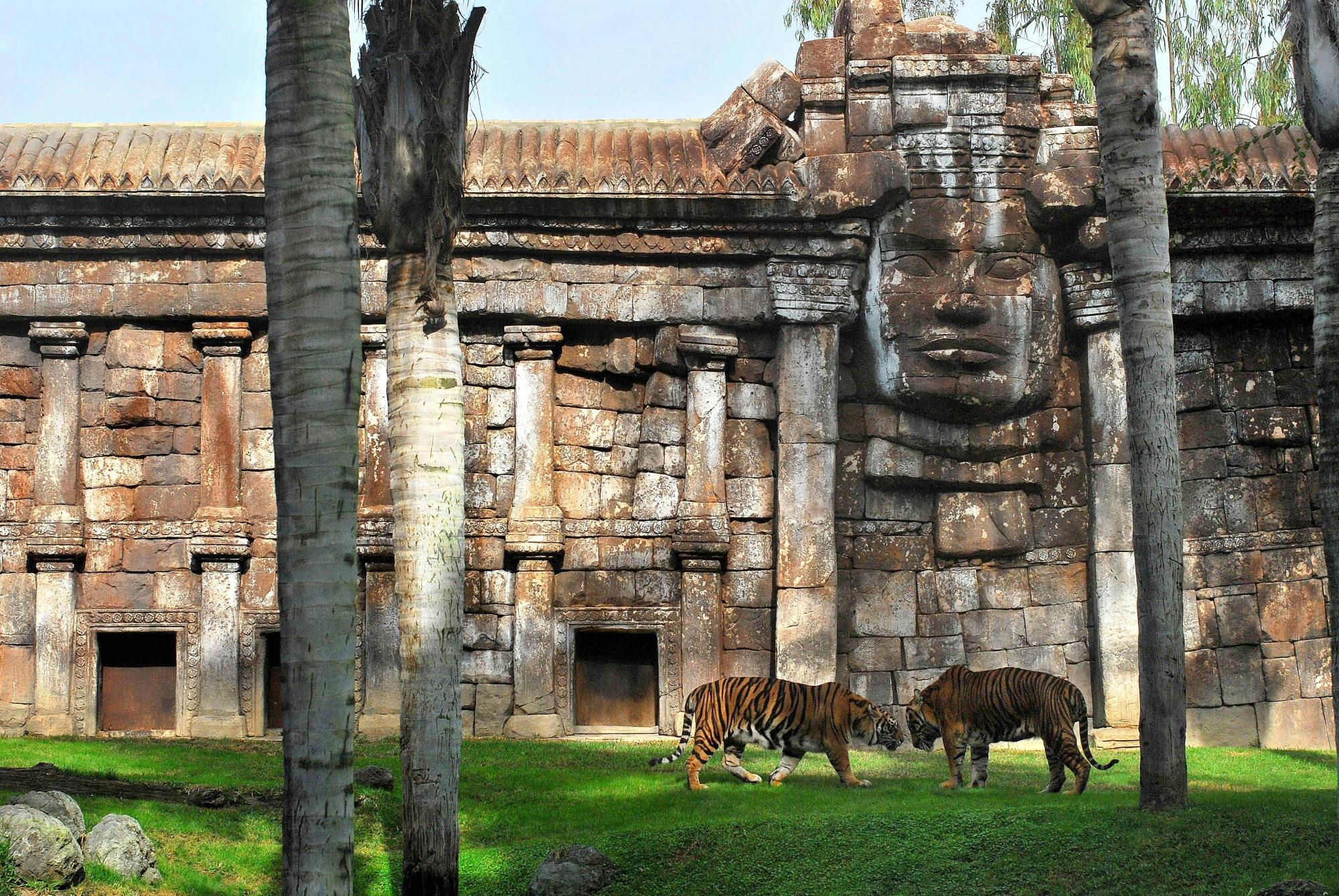 Fuengirola Zoo and shopping morning tour