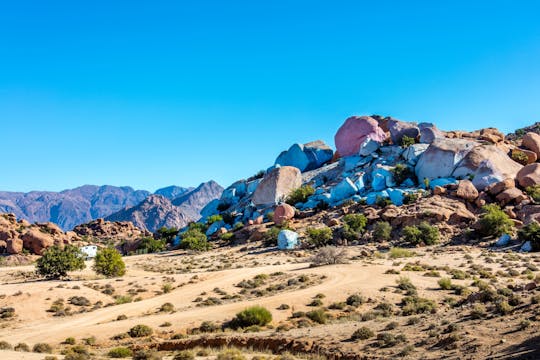 Tafraout, Mandelblüte Hauptstadt