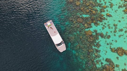 Surin Islands catamaran tour with snorkelling and lunch from Phuket