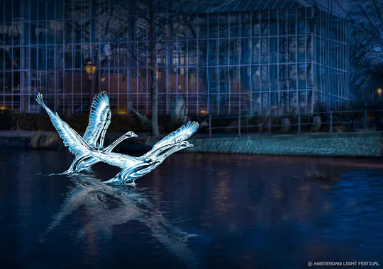 Croisière en bateau pour le Festival des Lumières d'Amsterdam avec commentaires en direct
