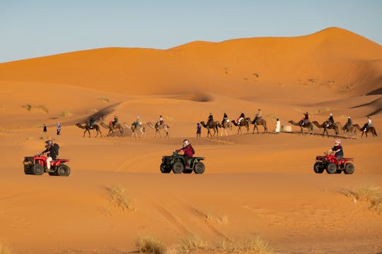 Quad biking and camel trekking in the Agafay Desert