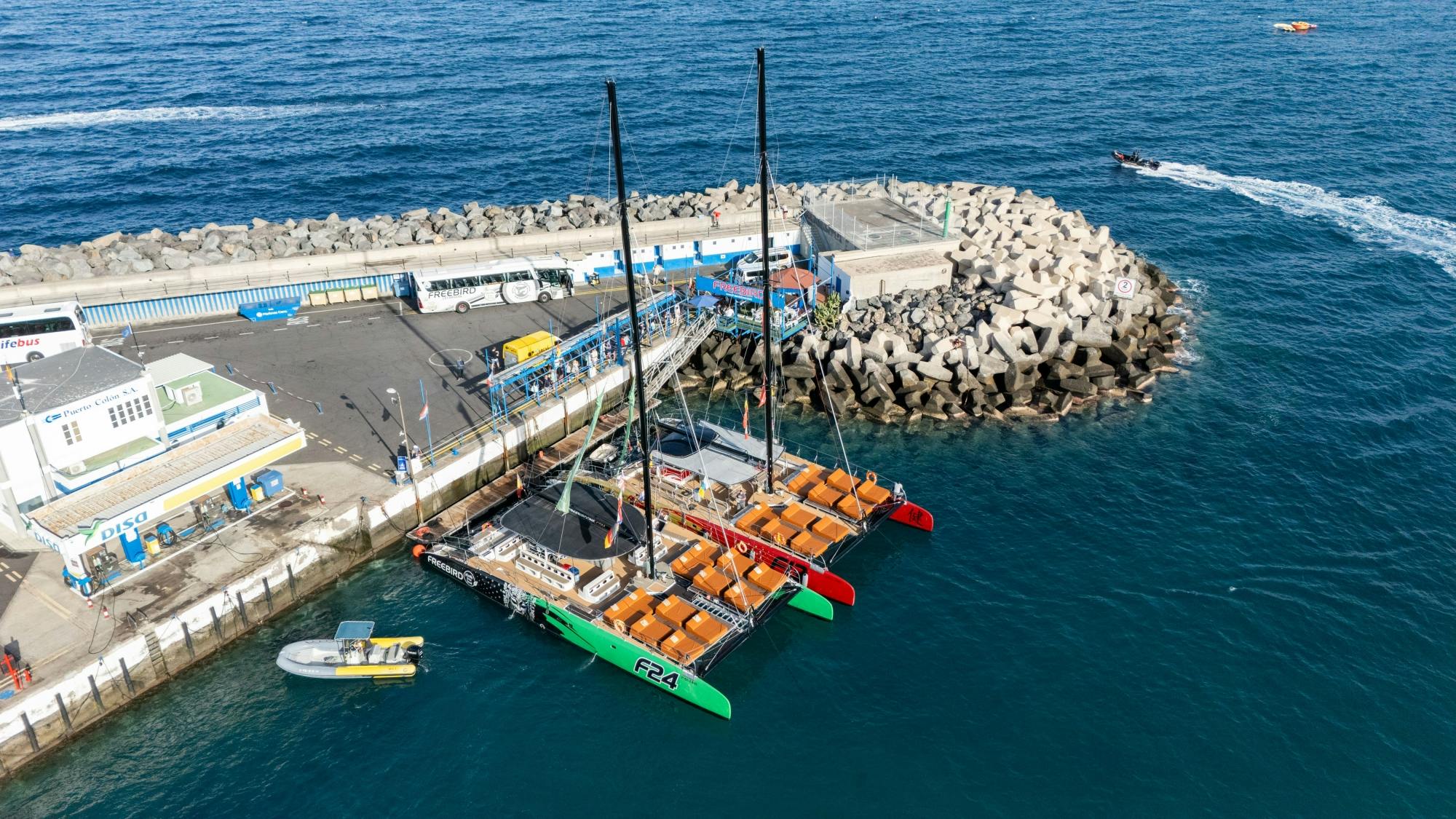 Halloween catamaran cruise in Tenerife