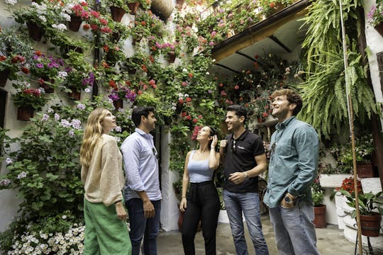 Córdoba guided tour from Madrid by high-speed train