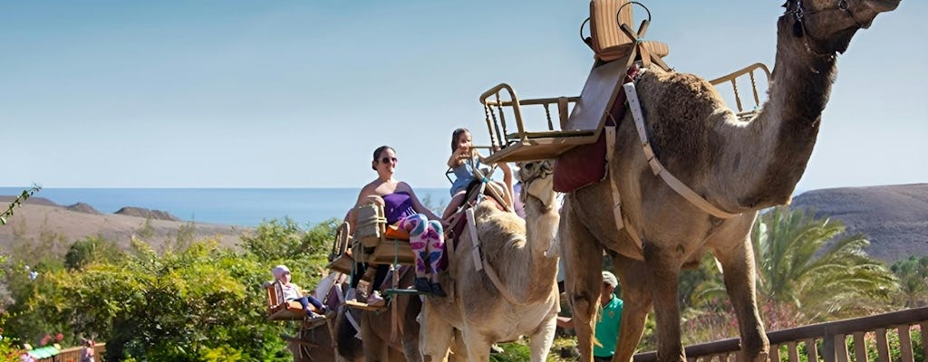 Oasis Wildlife Fuerteventura camel experience
