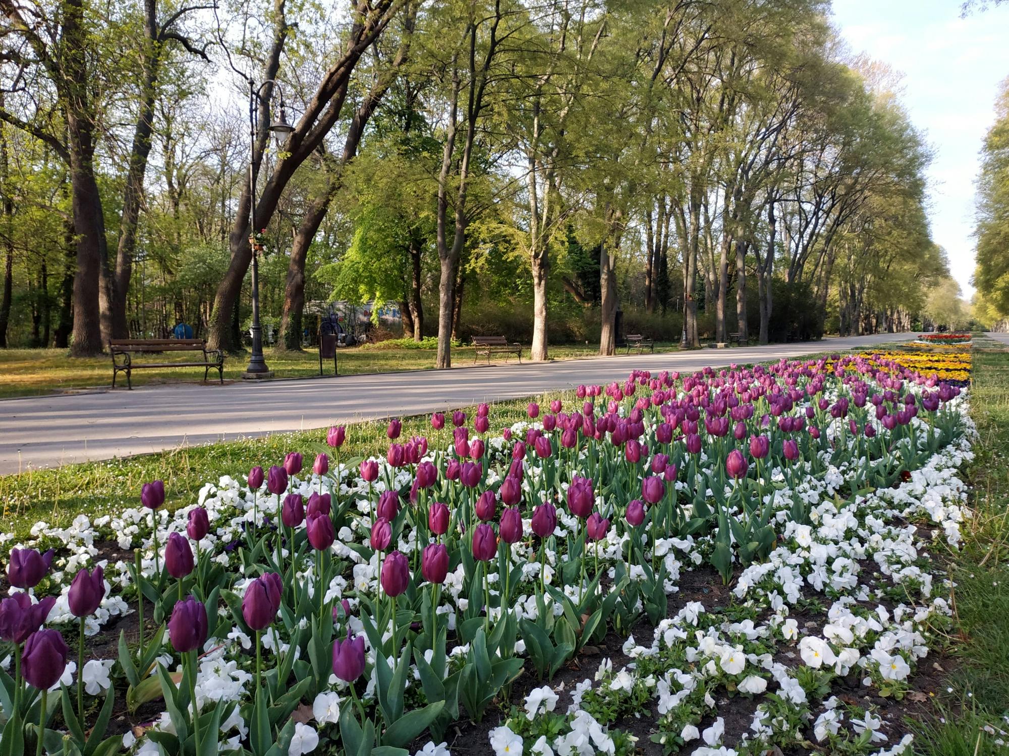 Aladzha Monastery, Balchik and Varna Tour
