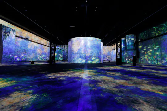 Bilhetes para a exposição permanente Phoenix des Lumières