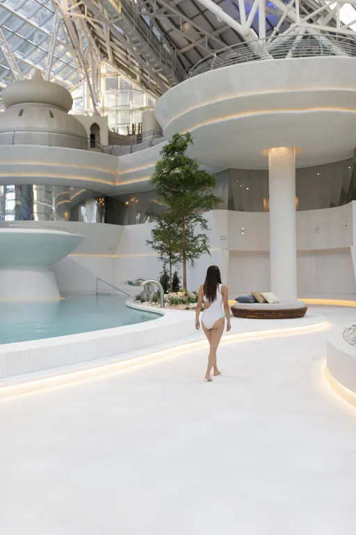 Caldea Classic Access Ticket