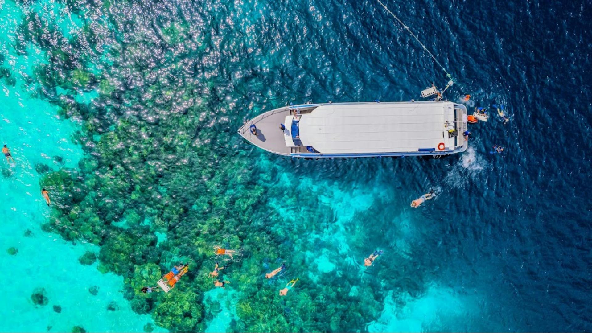 Surin Islands 3-reef snorkel masterpiece from Khao Lak