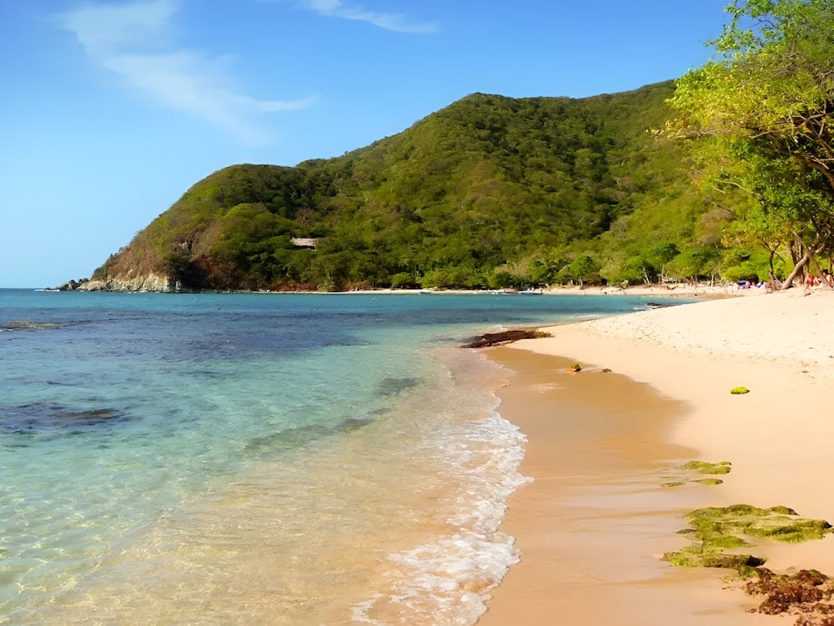 Hele dag Bahía Concha en Tayrona Park rondleiding met lunch