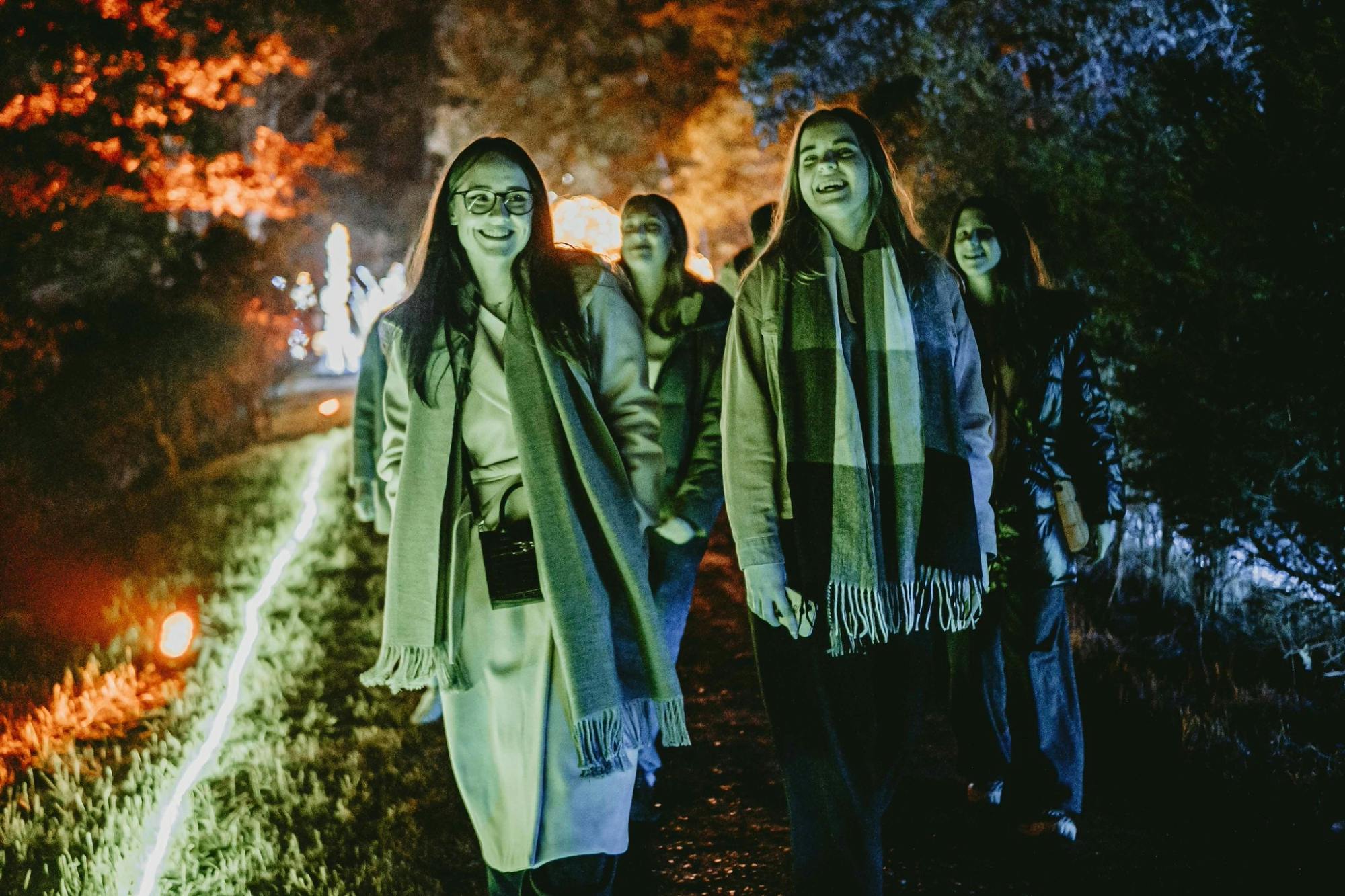 Budapest Lumina Park Entry Ticket