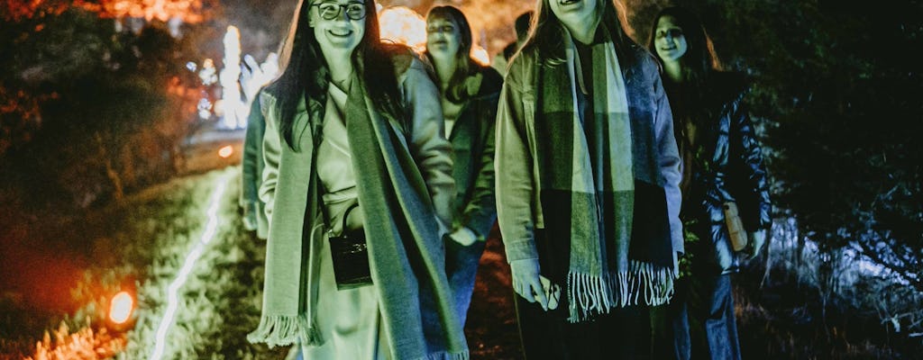 Budapest Lumina Park Entry Ticket