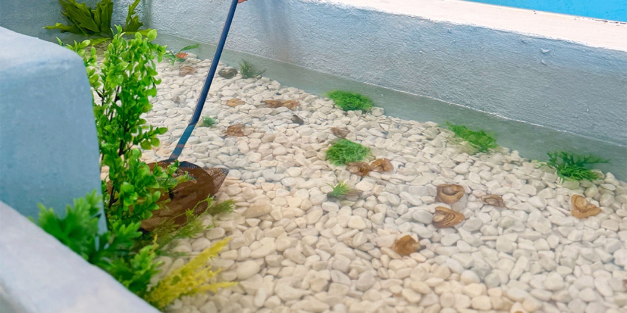 Fun indoors in Tenerife | musement