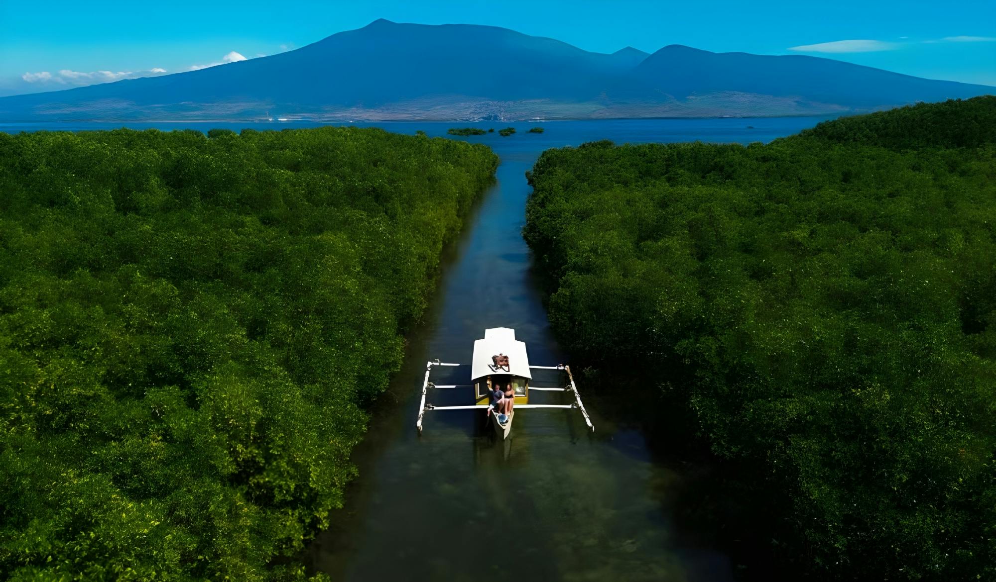Four Gili islands guided boat tour