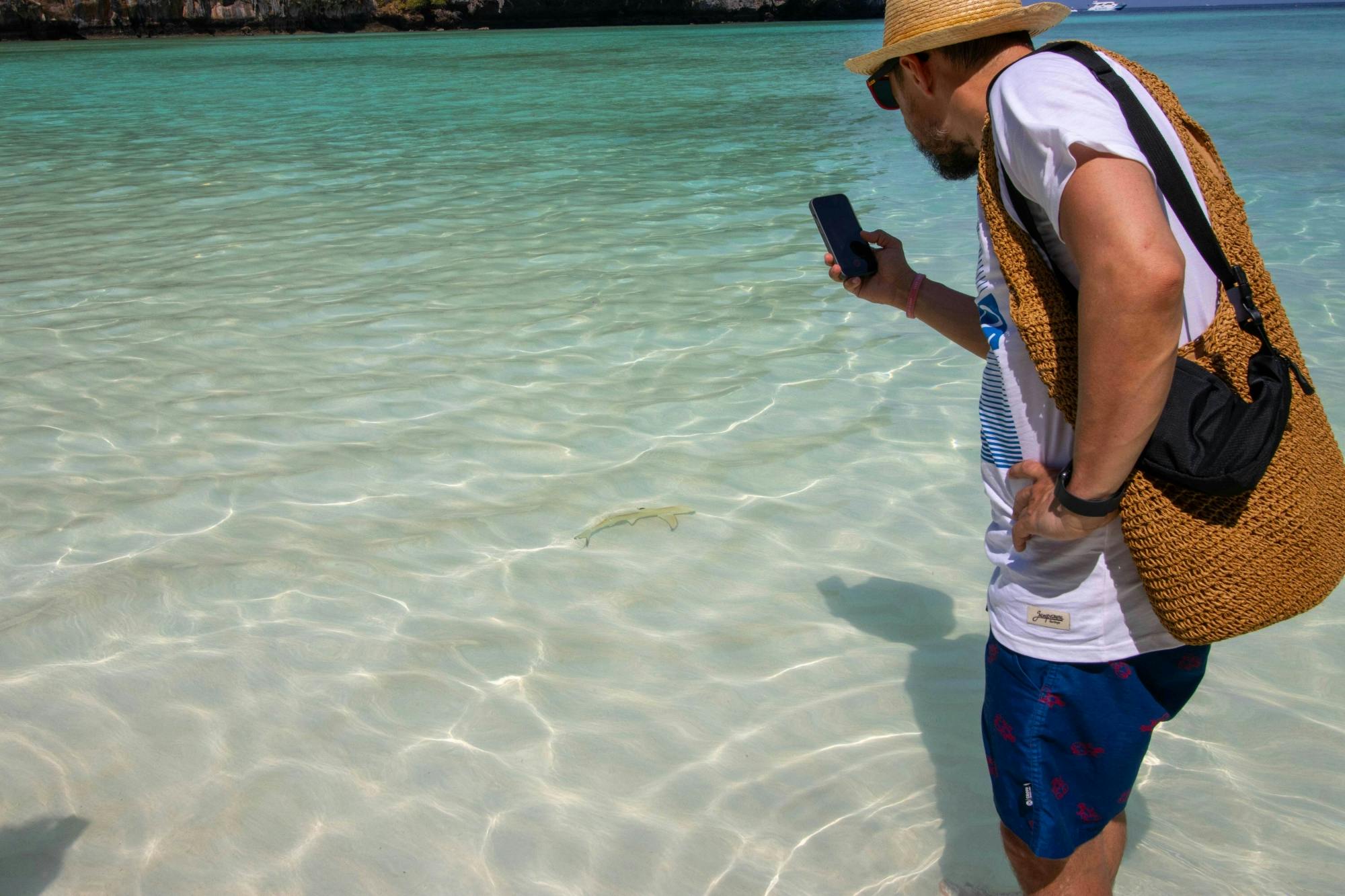 Full Day Phi Phi Island Speedboat Tour from Koh Lanta