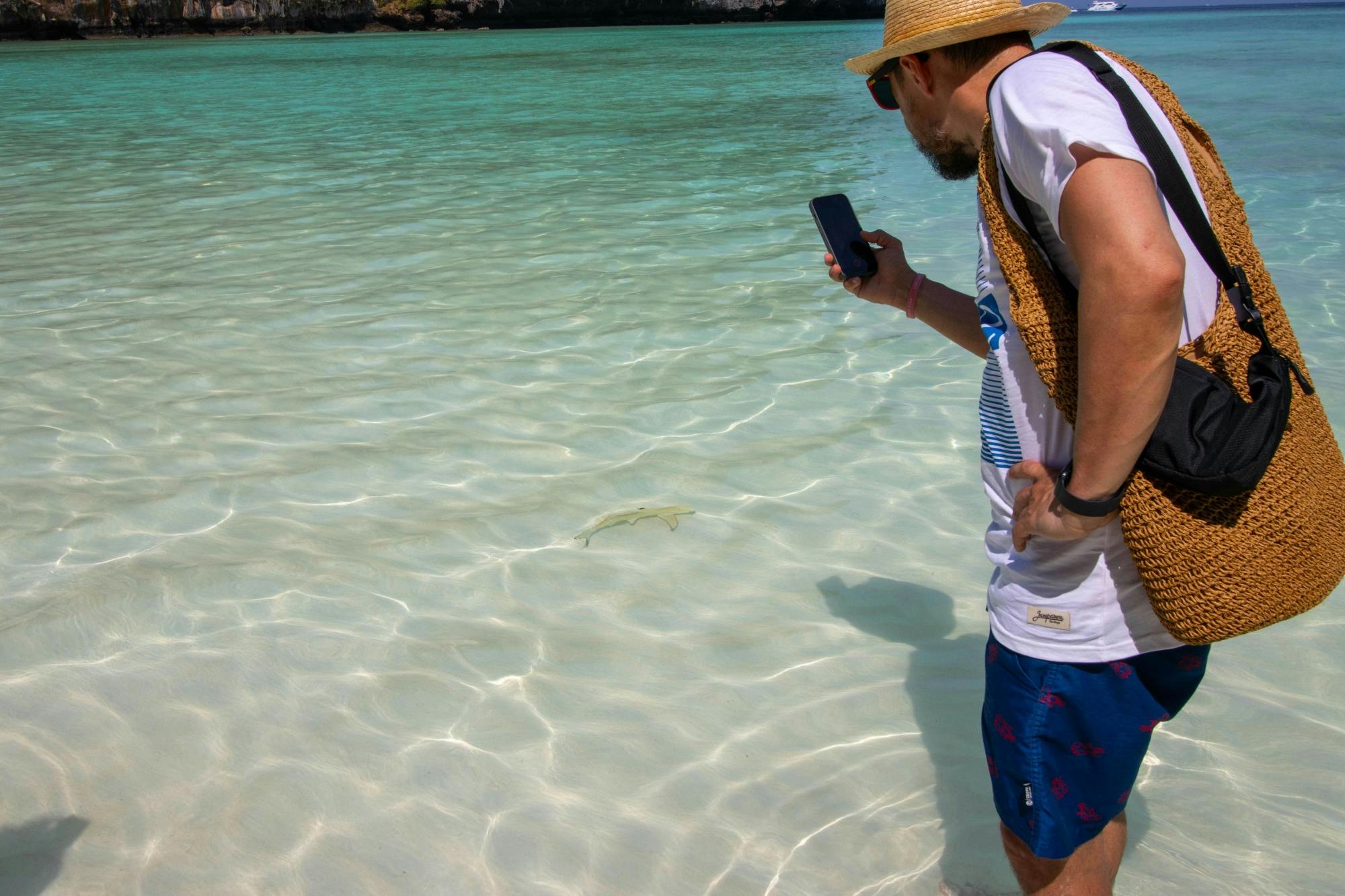 Full Day Phi Phi Island Speedboat Tour from Koh Lanta