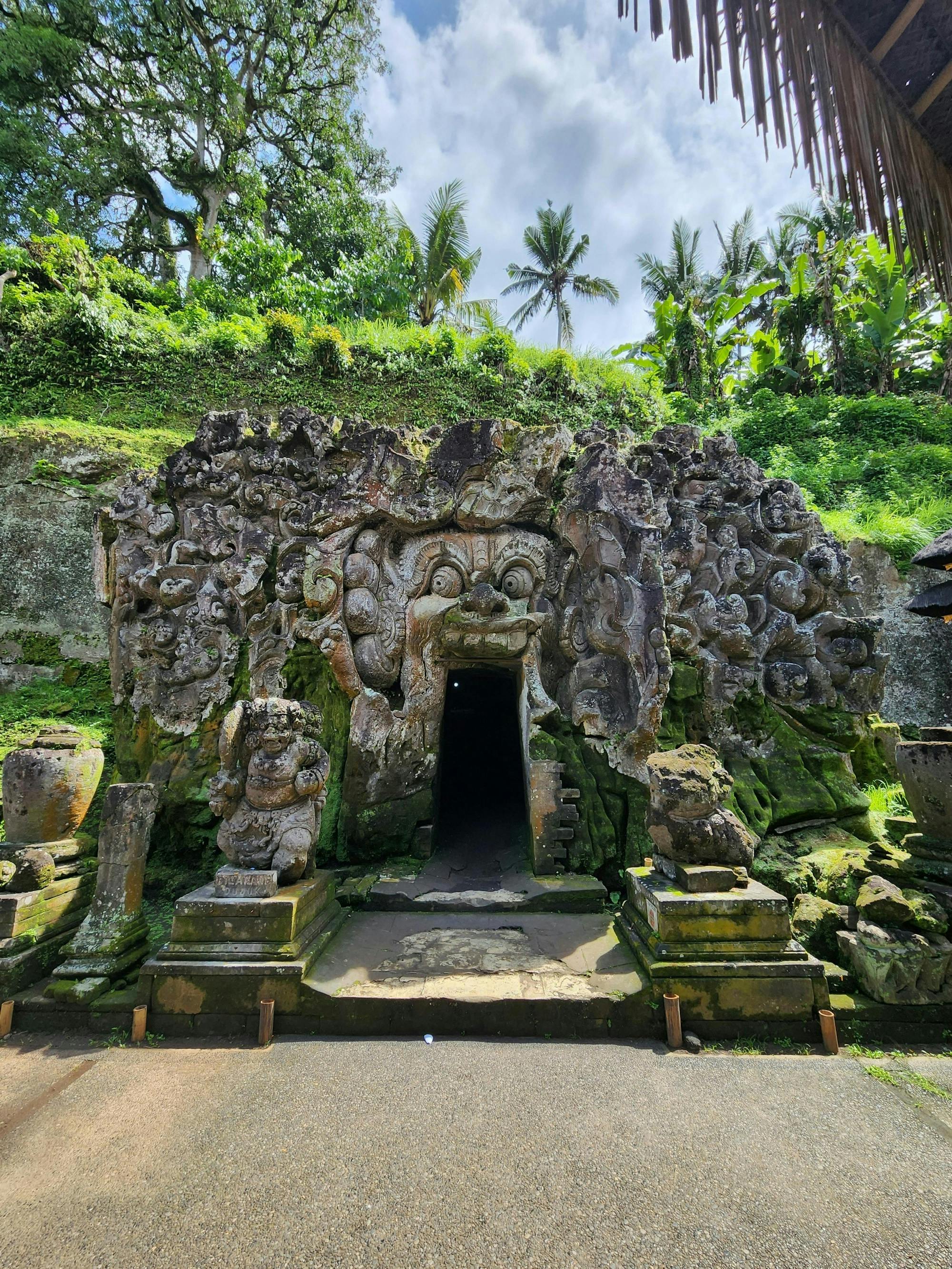 Ubud highlights and waterfalls guided tour
