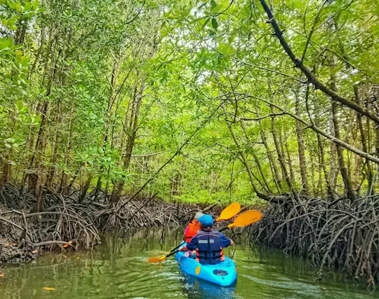 Kayak, mangroves et îles cachées de Koh Lanta