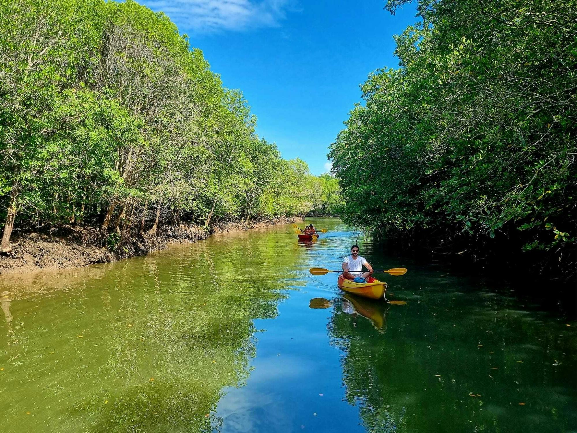 Kayaking, mangroves, and hidden islands from Koh Lanta