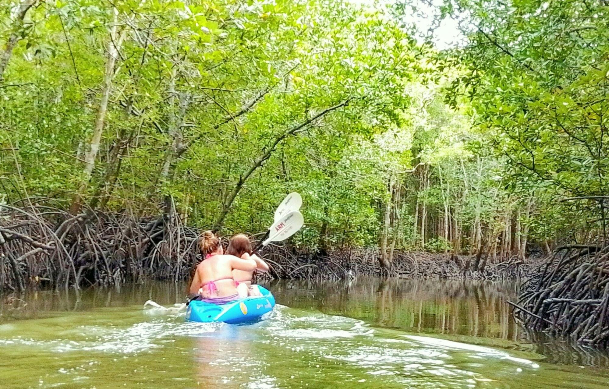 Kayaking, mangroves, and hidden islands from Koh Lanta