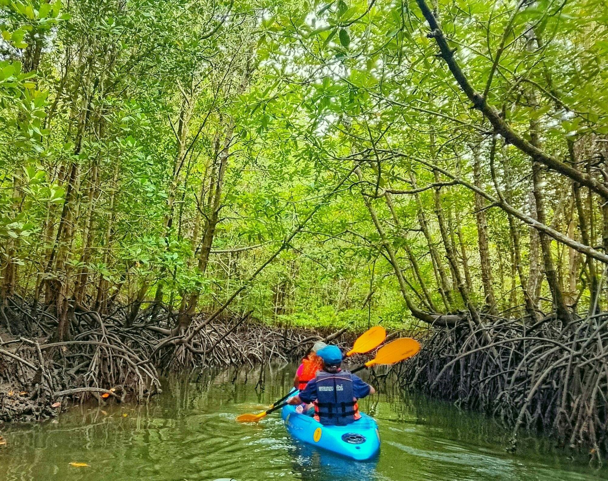 Kajakarstwo, namorzyny i ukryte wyspy z Koh Lanta