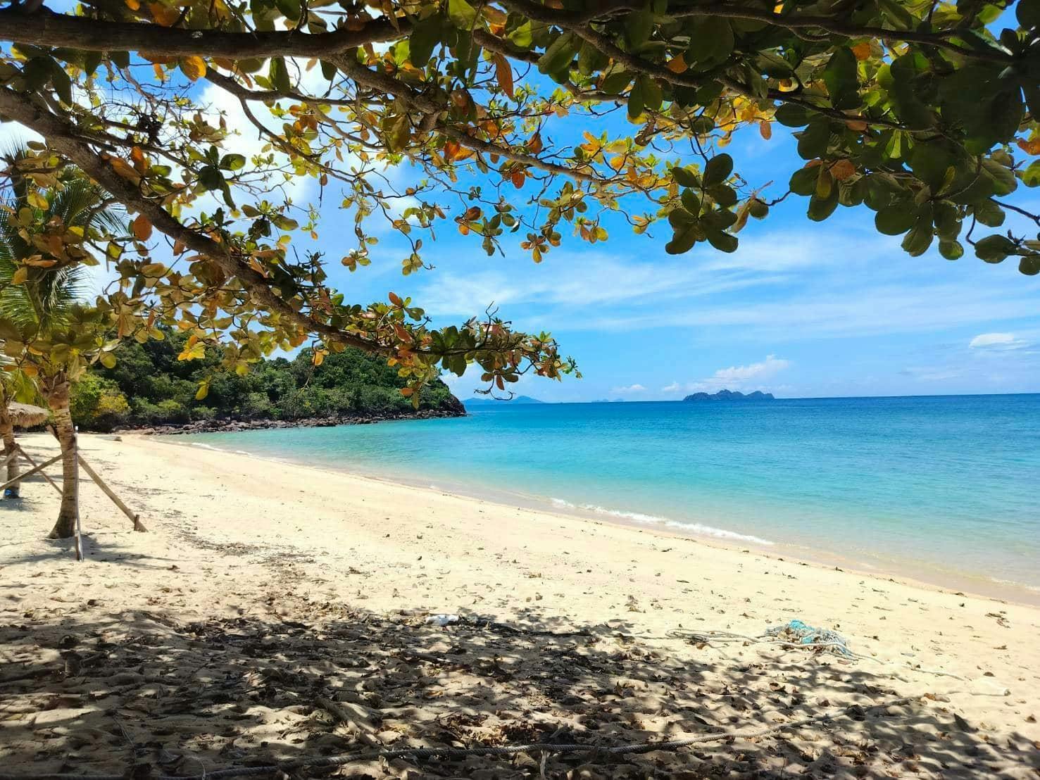 Full-day Thai island-hopping boat tour