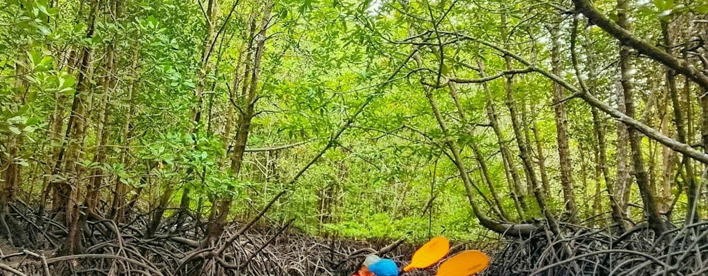 Kayaking, mangroves, and hidden islands from Koh Lanta
