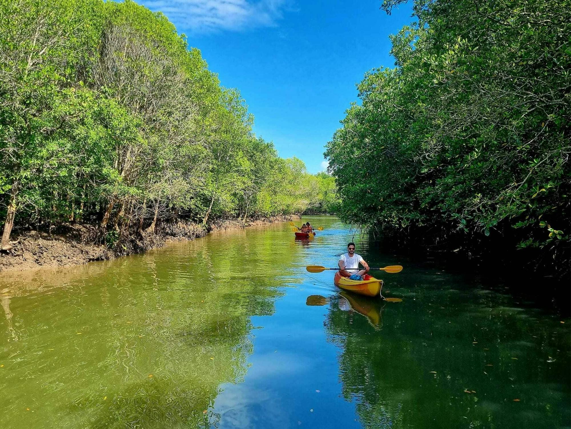 Kayaking, mangroves, and hidden islands from Koh Lanta