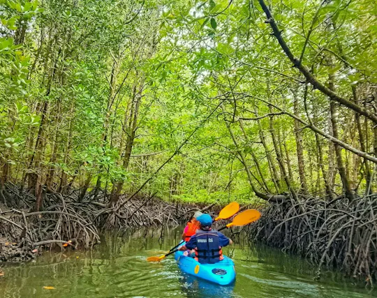Kajakkpadling, mangroveskog og skjulte øyer fra Koh Lanta
