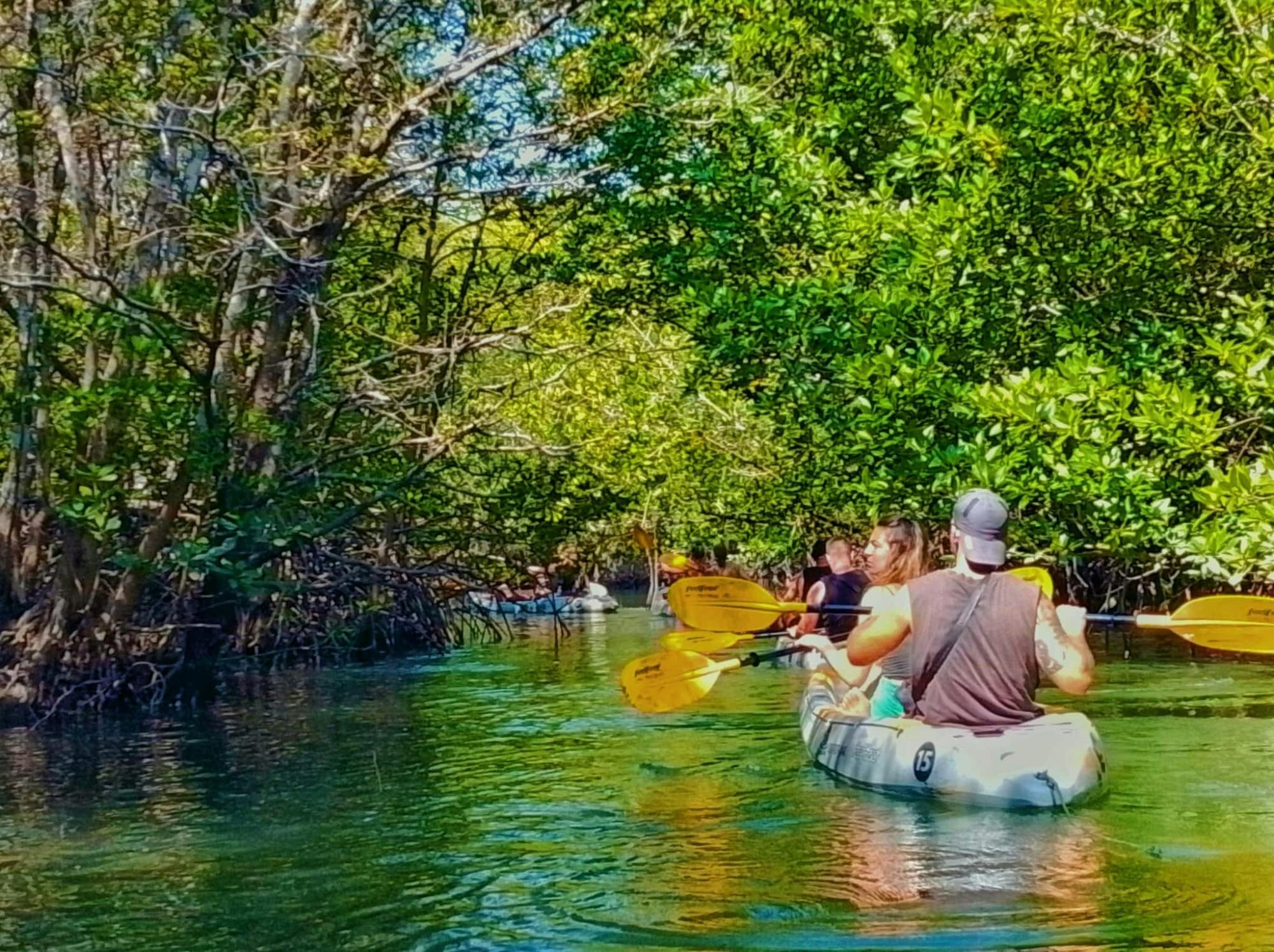 Kayaking, mangroves, and hidden islands from Koh Lanta
