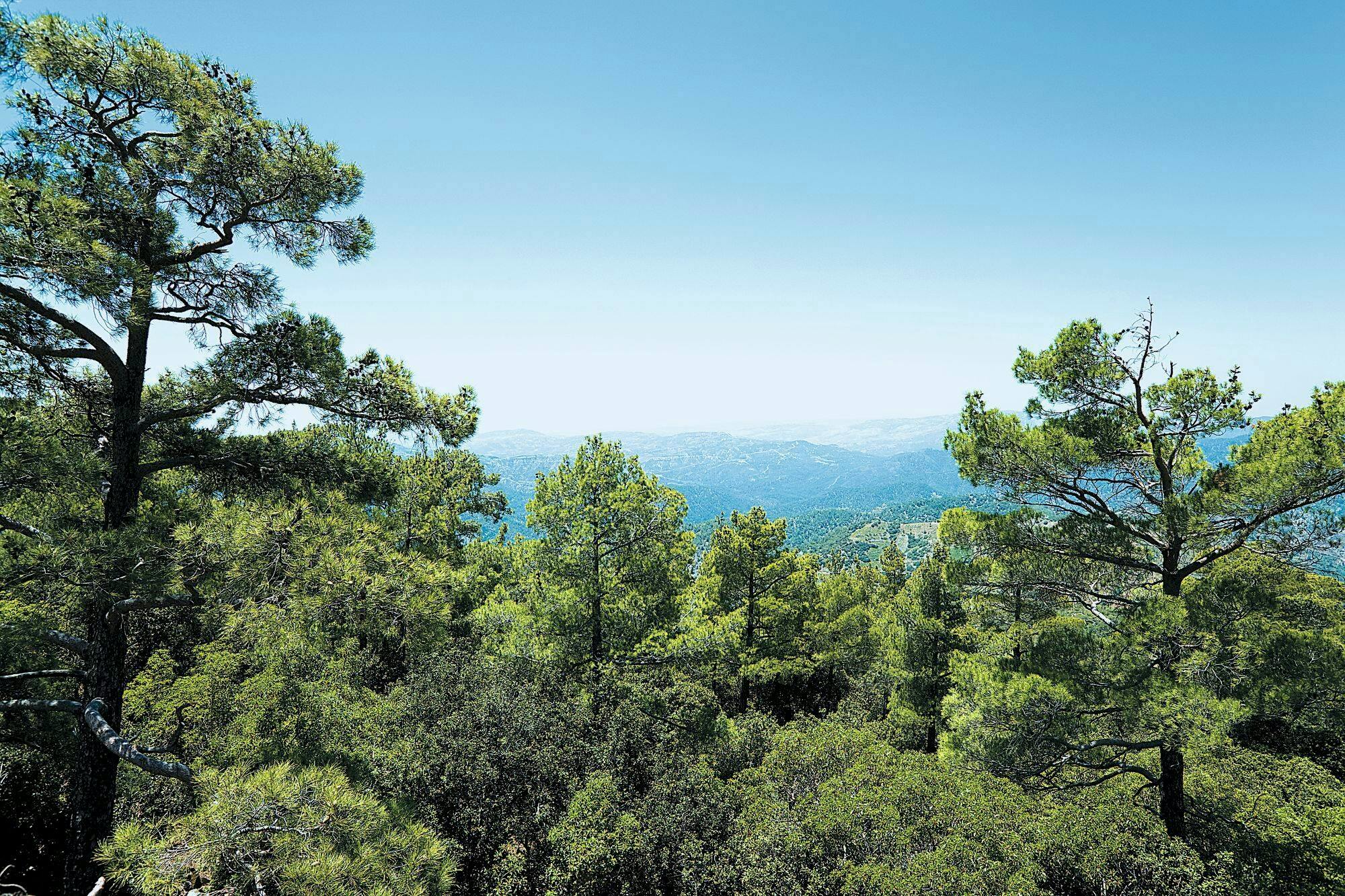 Troodos Mountains tour with Kykkos Monastery visit and lunch