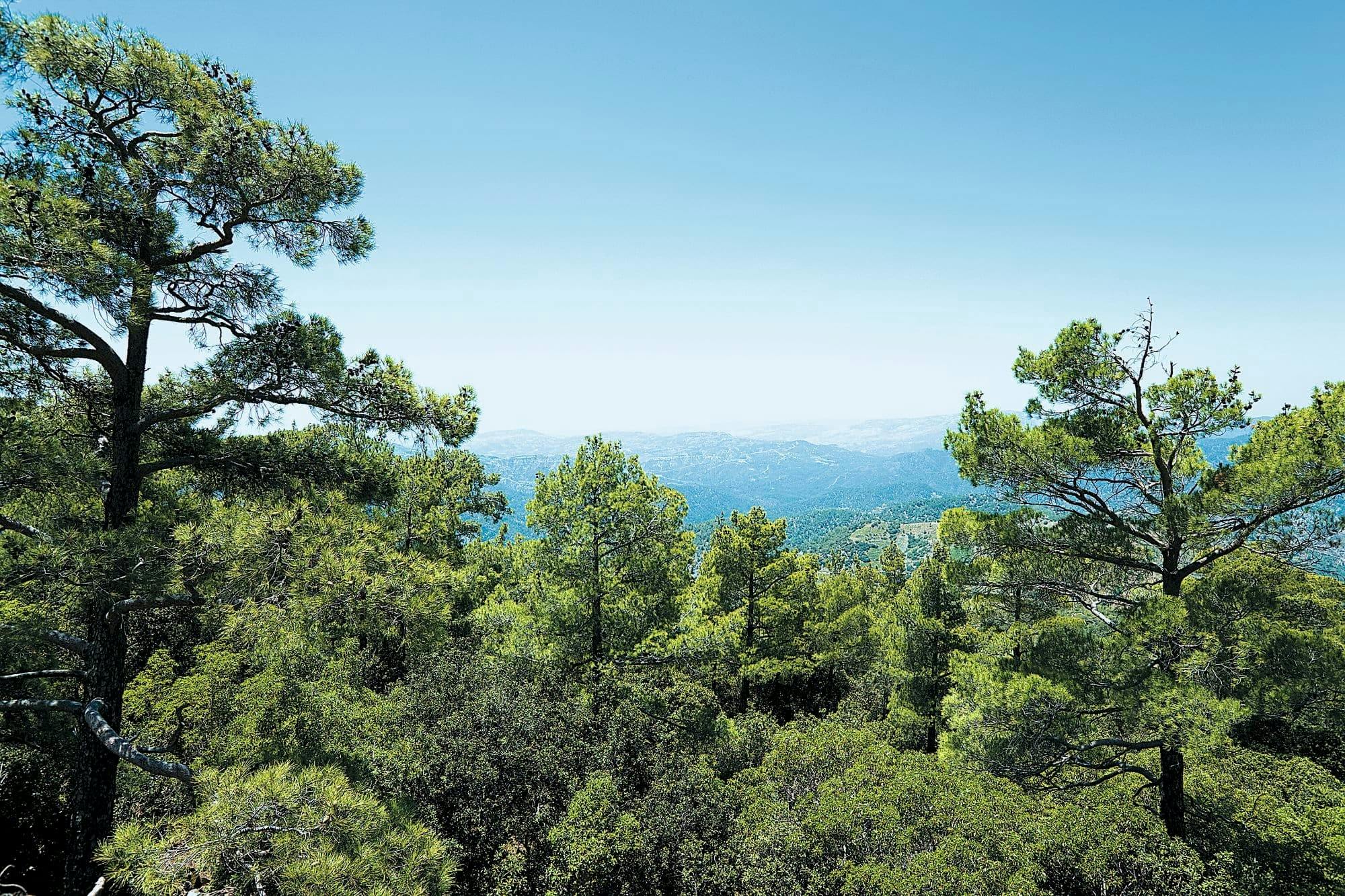 Troodos Mountains tour with Kykkos Monastery visit and lunch