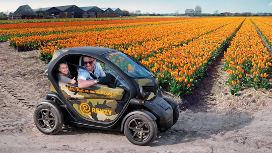 Excursão em carro próprio pelos campos de tulipas de Lisse para duas pessoas com audioguia