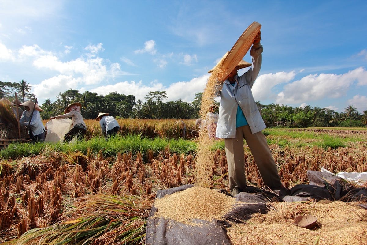 Visita guidata privata personalizzata