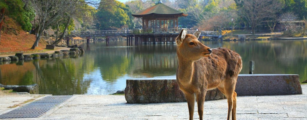 Osaka cultural day trip with two itinerary options