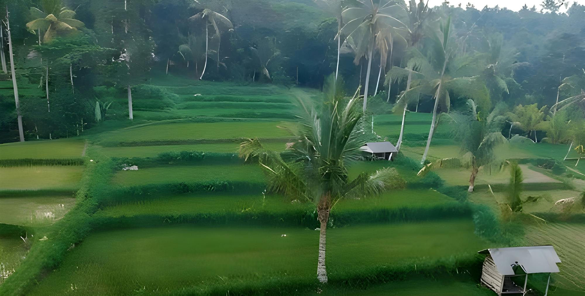 Tetebatu full-day eco tour