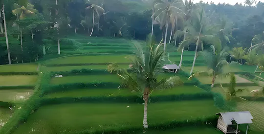 Tetebatu full-day eco tour